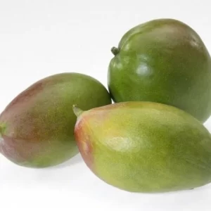 GEFU Mangoteiler 9