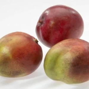 GEFU Mangoteiler 7
