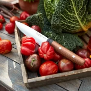 Wüsthof Steakmessersatz Urban Farmer, 4-teilig 13