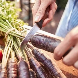 Wüsthof Steakmessersatz Urban Farmer, 4-teilig 11