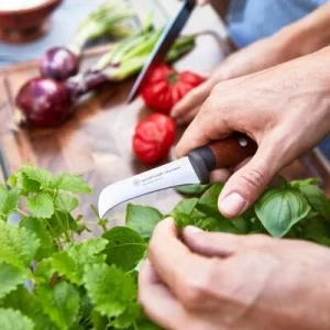 Wüsthof Steakmessersatz Urban Farmer, 4-teilig 15